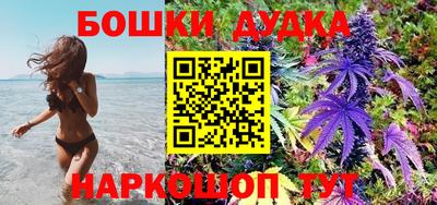 МДПВ Славгород