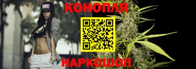 МДПВ Славгород