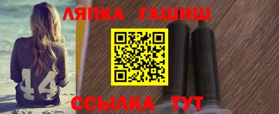 МДПВ Славгород